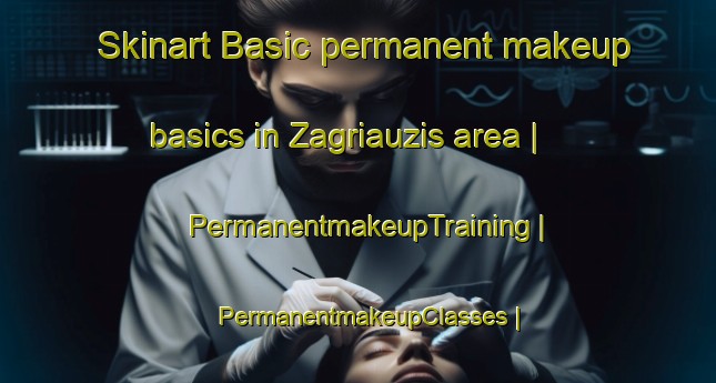 Skinart Basic permanent makeup basics in Zagriauzis area | PermanentmakeupTraining | PermanentmakeupClasses | SkinartTraining-Lithuania